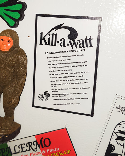 D.6 City Light Kill-a-Watt Magnet